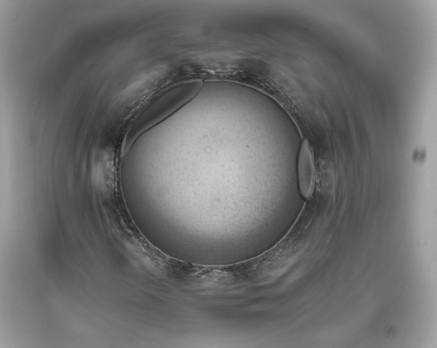 X0000093521298200710261210