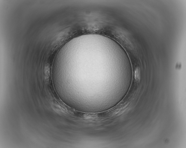 X0000093521299200710261210