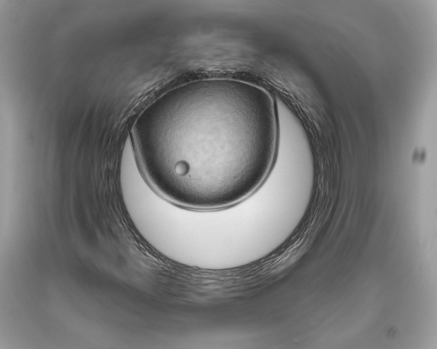 X0000093521300200710261210