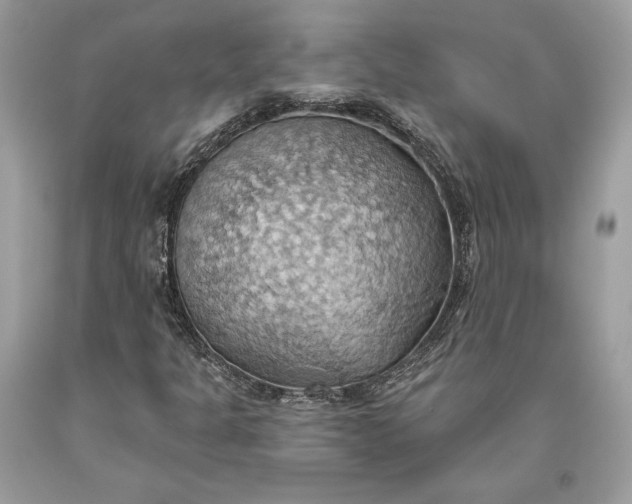 X0000093521301200710261210