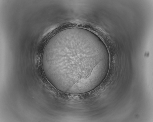 X0000093521302200710261210