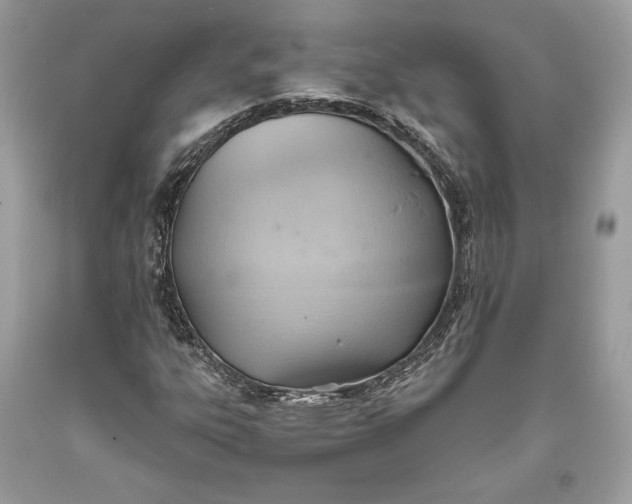 X0000093521303200710261210