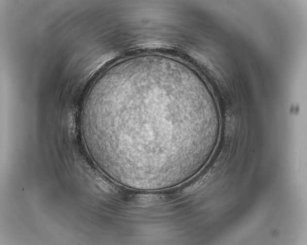 X0000093521305200710261211