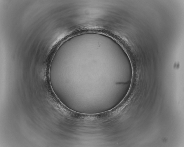 X0000093521306200710261211