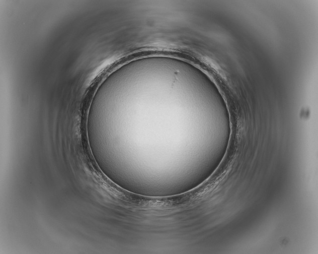 X0000093521307200710261211