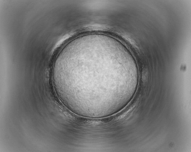 X0000093521309200710261211