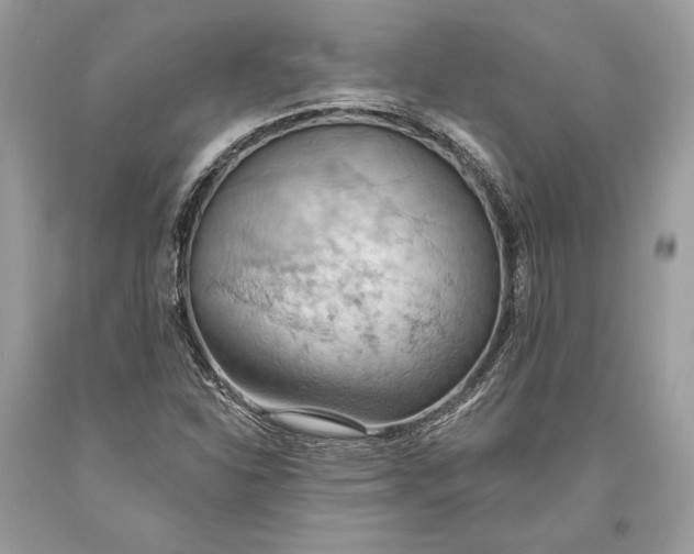 X0000093521310200710261211