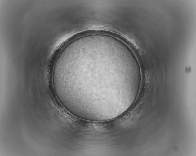 X0000093521311200710261211