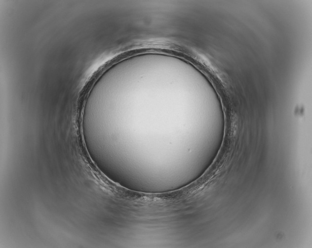 X0000093521312200710261211