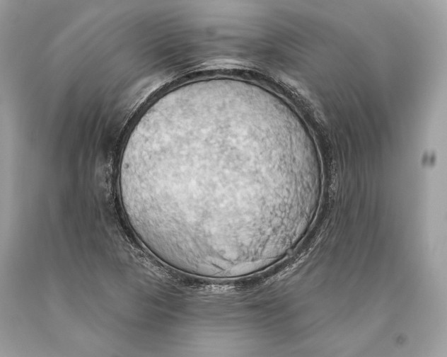 X0000093521313200710261211