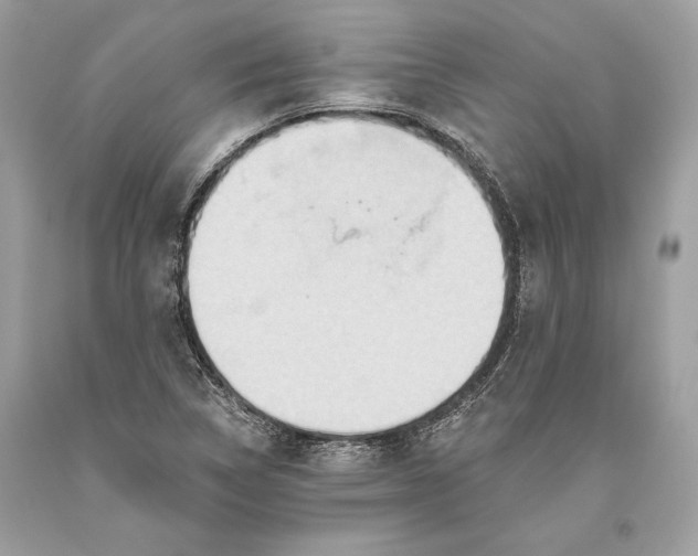 X0000093521314200710261211