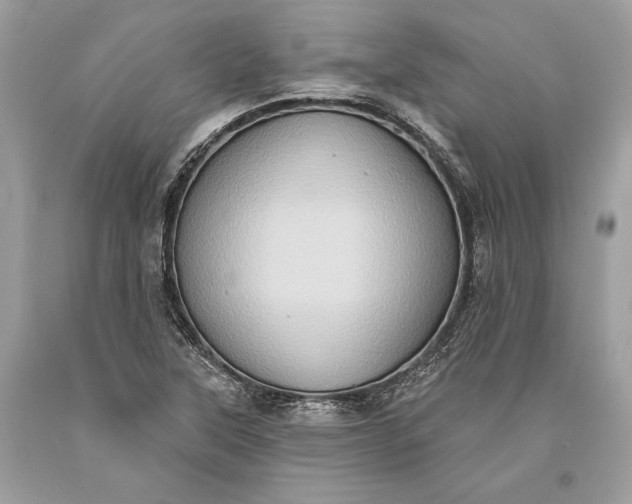 X0000093521315200710261211