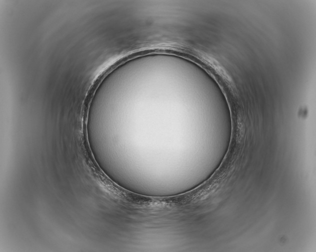 X0000093521316200710261211