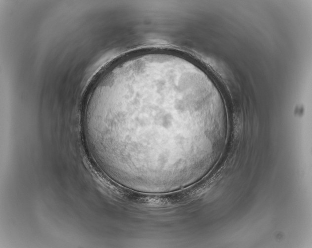 X0000093521318200710261211