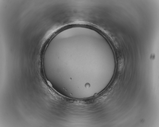 X0000093521319200710261211