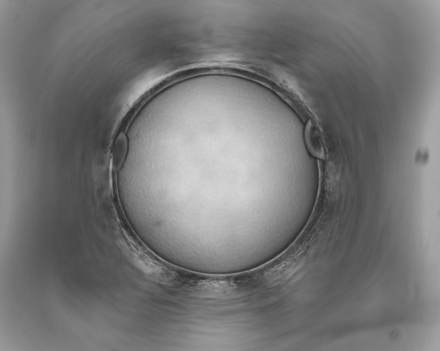 X0000093521320200710261211