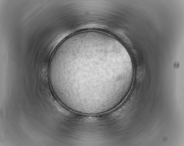 X0000093521321200710261211