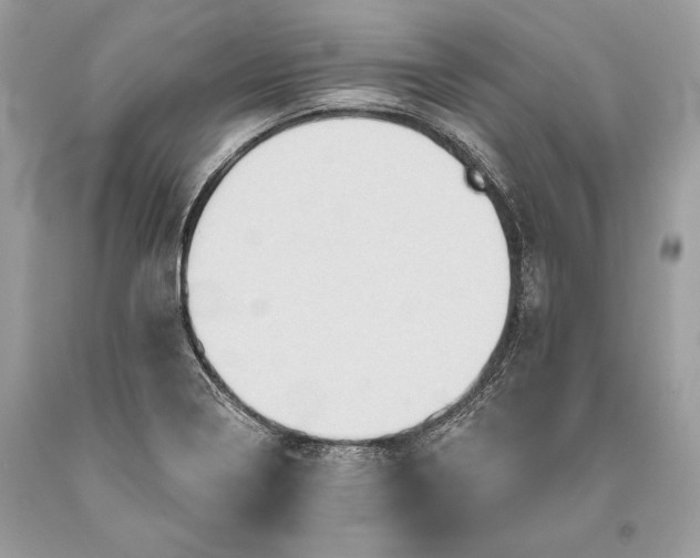 X0000093521322200710261211