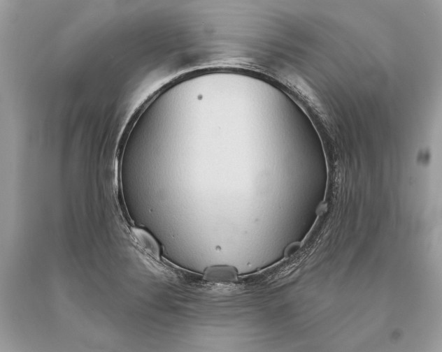 X0000093521324200710261211