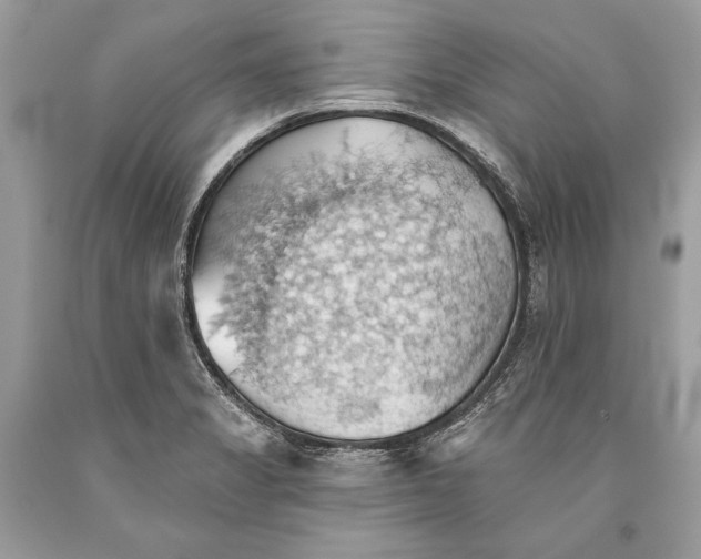 X0000093521325200710261211