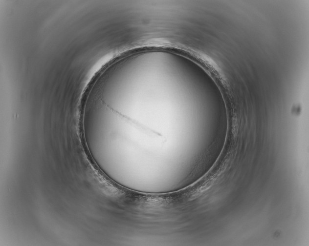 X0000093521326200710261211