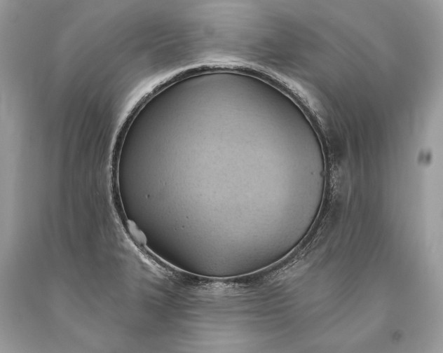 X0000093521327200710261211