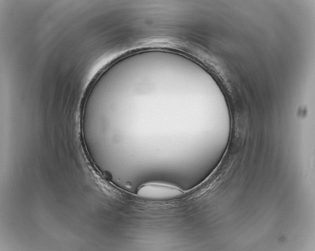 X0000093521328200710261211