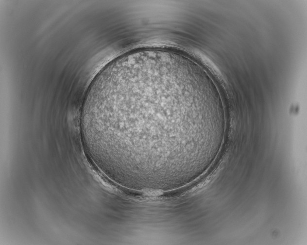 X0000093521329200710261211