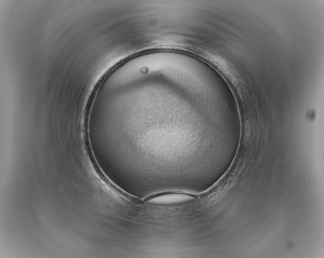 X0000093521331200710261211