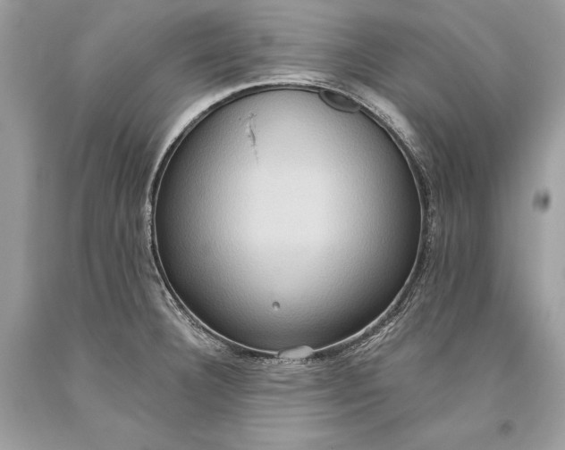 X0000093521332200710261211