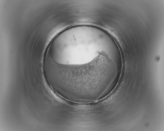 X0000093521333200710261211