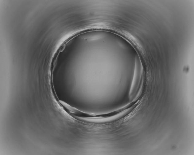 X0000093521334200710261211