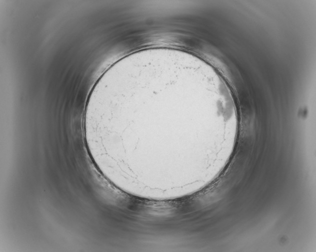 X0000093521338200710261211