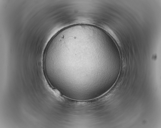 X0000093521339200710261211