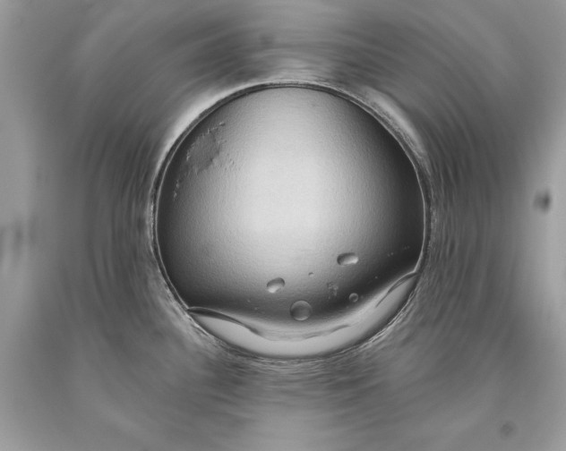 X0000093521340200710261211