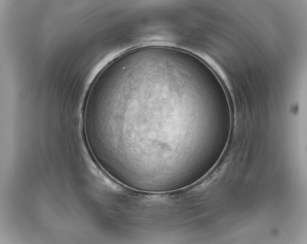 X0000093521341200710261211