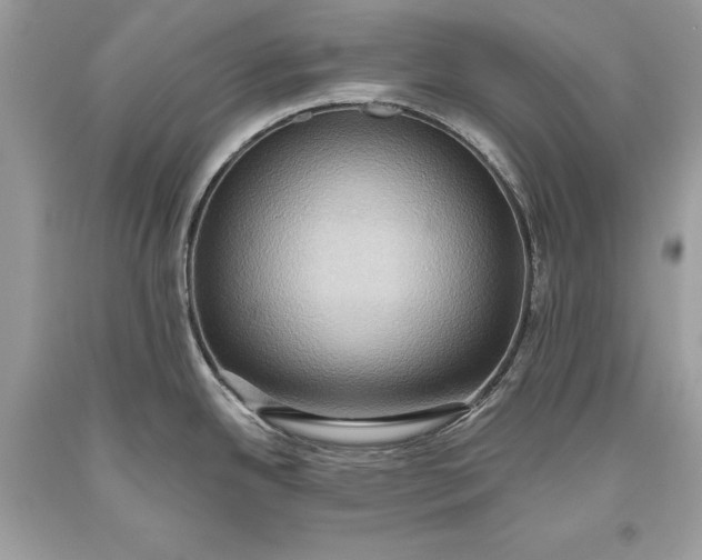 X0000093521342200710261211