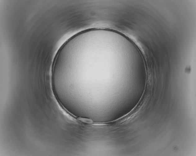 X0000093521343200710261211