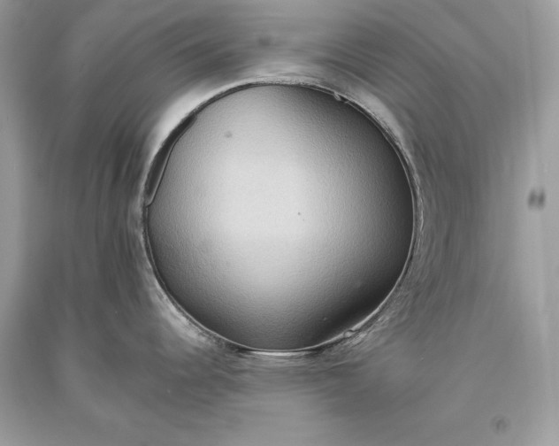 X0000093521344200710261211