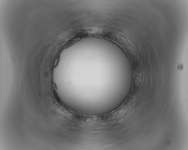 X0000093521345200710261210