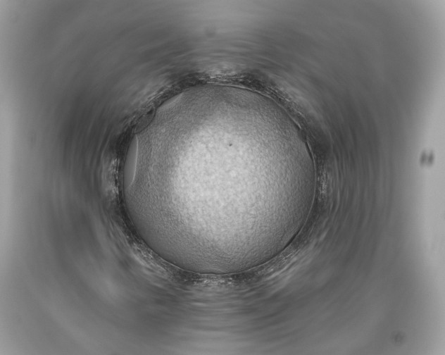 X0000093521346200710261210