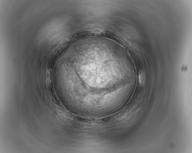 X0000093521347200710261210