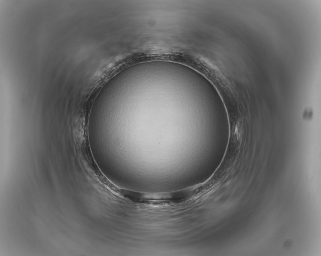 X0000093521348200710261210