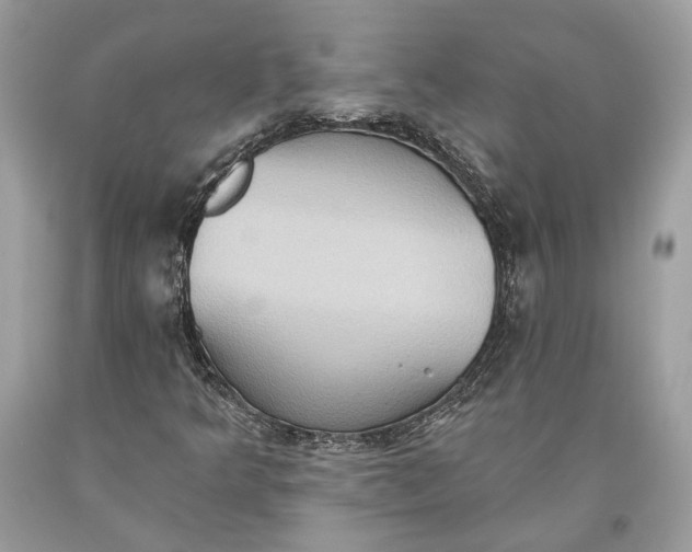 X0000093521349200710261210