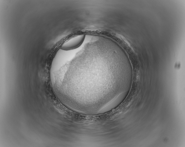 X0000093521350200710261210