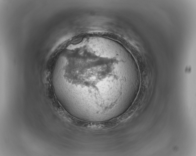 X0000093521351200710261210