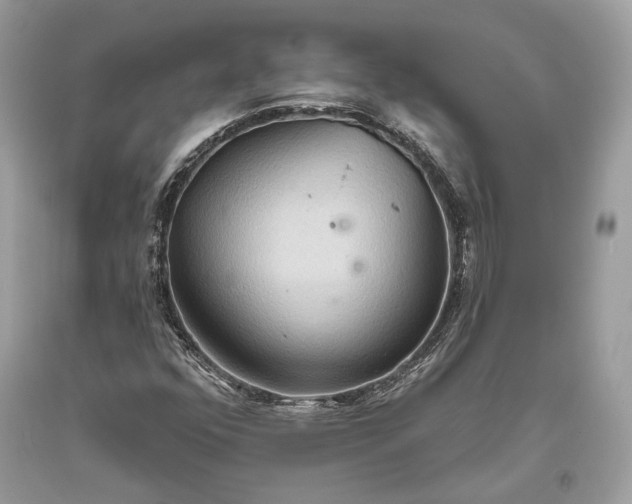 X0000093521352200710261210