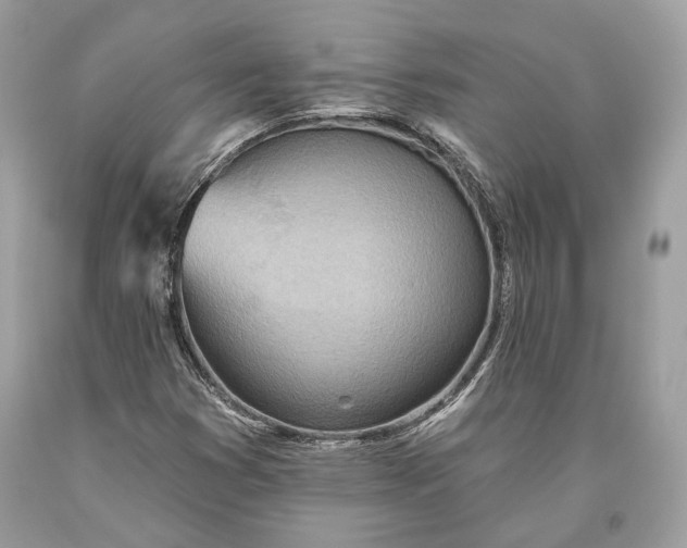 X0000093521353200710261210