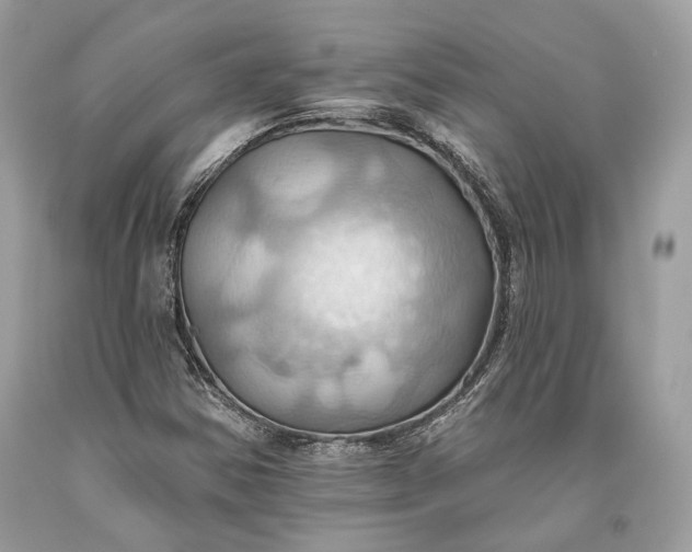 X0000093521354200710261210