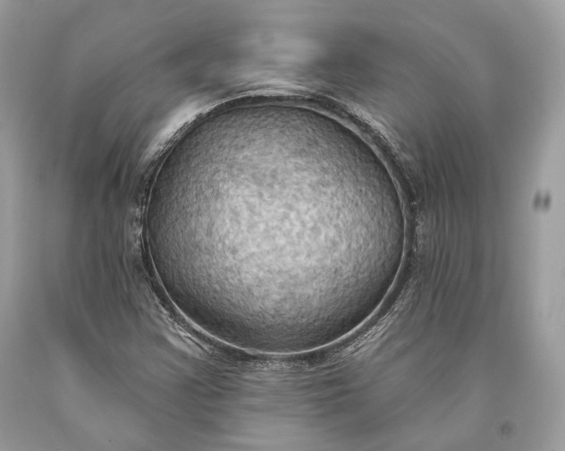 X0000093521355200710261210